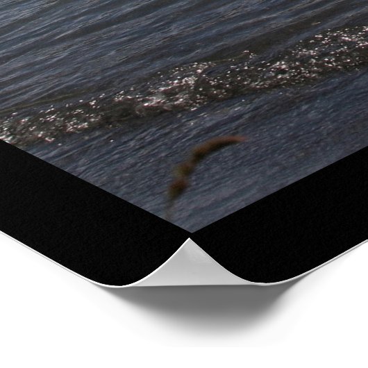 Nationaal Park Torres del Paine, Chili Poster (Hoek)