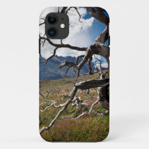 Nationaal park Torres del Paine, door brand bescha iPhone 11 Hoesje