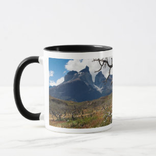 Nationaal park Torres del Paine, door brand bescha Mok
