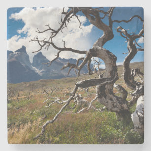Nationaal park Torres del Paine, door brand bescha Stenen Onderzetter