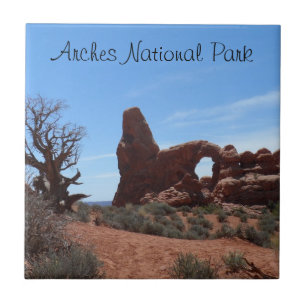 Nationaal park Turret Arch - Arches Tegeltje