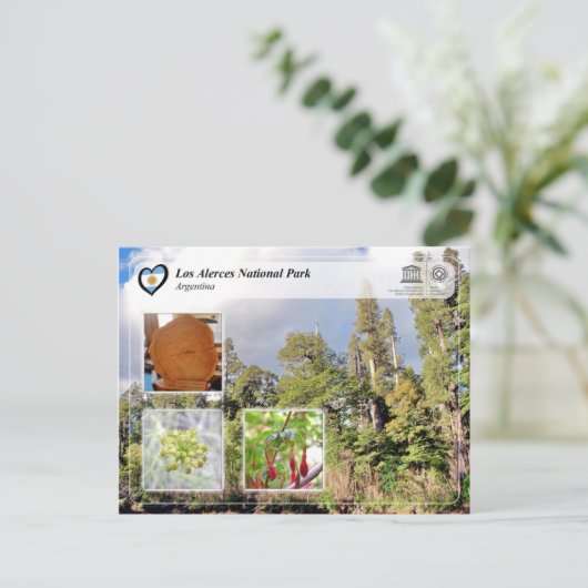 Nationaal park UNESCO - Los Alerces Briefkaart (Staand voorkant)
