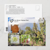 Nationaal park UNESCO - Los Alerces Briefkaart (Voorkant / Achterkant)