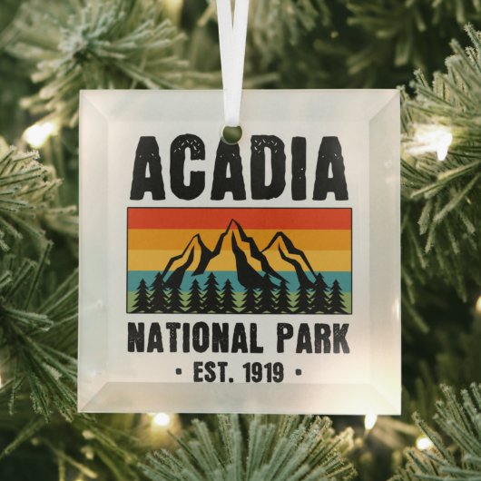 Nationaal park van Acadia,  van Maine Retro Glas Ornament (Insitu)