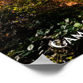 Nationaal park van Camano in Herfst Poster (Hoek)