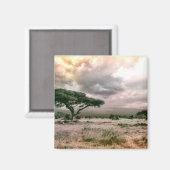 Nationaal Park van de Afrikaanse Sahara Serengeti  Magneet (Voorkant / Achterkant)