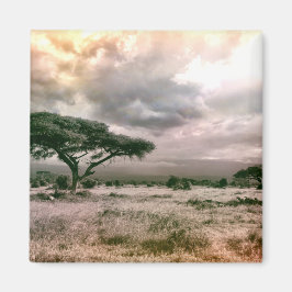 Nationaal Park van de Afrikaanse Sahara Serengeti  Magneet