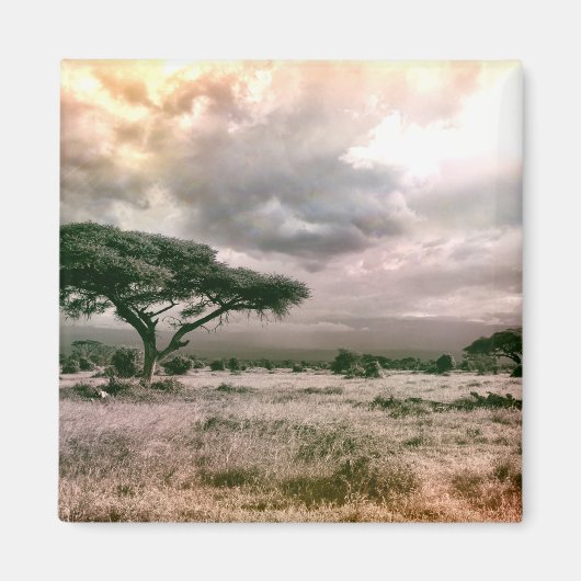 Nationaal Park van de Afrikaanse Sahara Serengeti  Magneet (Voorkant)