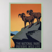 Nationaal park van de  berggebieden poster (Voorkant)