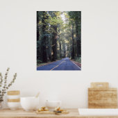 Nationaal park van de Giants-Humboldt Redwood Poster (Keuken)