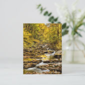 Nationaal Park van de grote rokergebergten. Big Cr Briefkaart (Staand voorkant)