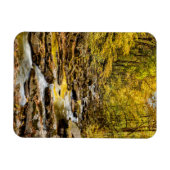 Nationaal Park van de grote rokergebergten. Big Cr Magneet (Horizontaal)