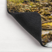 Nationaal Park van de grote rokergebergten. Big Cr Muismat (Hoek)