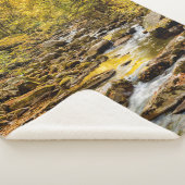 Nationaal Park van de grote rokergebergten. Big Cr Sherpa Deken (3/4)