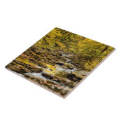 Nationaal Park van de grote rokergebergten. Big Cr Tegeltje (Zijkant)