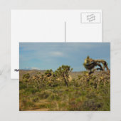 Nationaal park van de Joshua-boom Briefkaart (Voorkant / Achterkant)