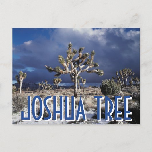 Nationaal park van de Joshua-boom Briefkaart (Voorkant)