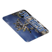 Nationaal park van de Joshua-boom Magneet (Rechterzijde)