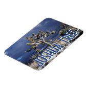 Nationaal park van de Joshua-boom Magneet (Linkerzijde)