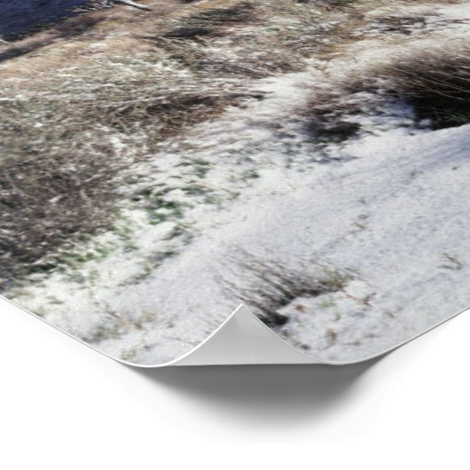 Nationaal park van de Joshua-boom Poster (Hoek)