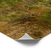 Nationaal park van de Joshua-boom Poster (Hoek)