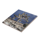 Nationaal park van de Joshua-boom Tegeltje (Zijkant)