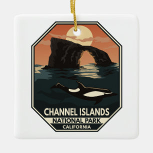 Nationaal park van de Kanaaleilanden Dolphin Retro Keramisch Ornament