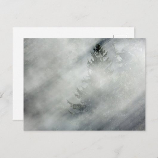 Nationaal Park van de Olympische Spelen | Hoh Rive Briefkaart (Voorkant / Achterkant)