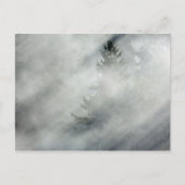 Nationaal Park van de Olympische Spelen | Hoh Rive Briefkaart (Voorkant)