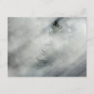 Nationaal Park van de Olympische Spelen   Hoh Rive Briefkaart