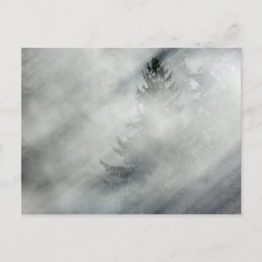 Nationaal Park van de Olympische Spelen | Hoh Rive Briefkaart (Voorkant)