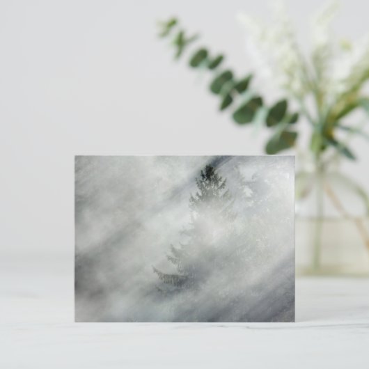 Nationaal Park van de Olympische Spelen | Hoh Rive Briefkaart (Staand voorkant)