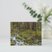 Nationaal Park van de Olympische Spelen in Washing Briefkaart (Staand voorkant)