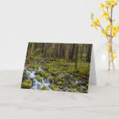 Nationaal Park van de Olympische Spelen in Washing Kaart (Gele Bloem)