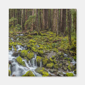 Nationaal Park van de Olympische Spelen in Washing Magneet (Voorkant)