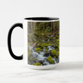 Nationaal Park van de Olympische Spelen in Washing Mok (Links)