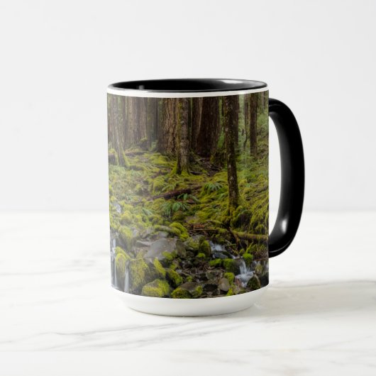 Nationaal Park van de Olympische Spelen in Washing Mok (Voorkant rechts)