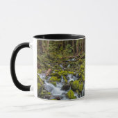 Nationaal Park van de Olympische Spelen in Washing Mok (Links)