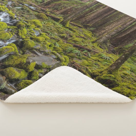 Nationaal Park van de Olympische Spelen in Washing Sherpa Deken (3/4)