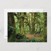 Nationaal Park van de Olympische Spelen, WA 2 Briefkaart (Voorkant / Achterkant)