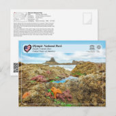 Nationaal park van de Stille Oceaan Briefkaart (Voorkant / Achterkant)