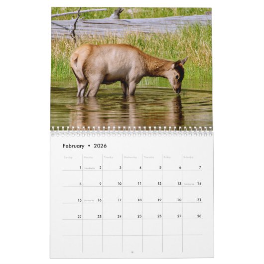 Nationaal park van geelsteen - een zeer speciale p kalender (Feb 2026)