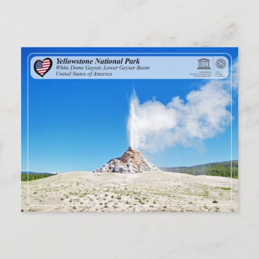 Nationaal park van geelsteen - White Dome Geyser Briefkaart (Voorkant)