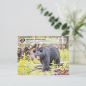 Nationaal park van geelsteen - Zwart Beer Briefkaart (Staand voorkant)