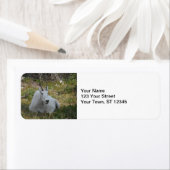 Nationaal park van het gebergte Goat-Glacier Etiket (Insitu)