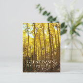 Nationaal park van het grote bekken briefkaart (Staand voorkant)