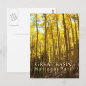 Nationaal park van het grote bekken briefkaart (Voorkant / Achterkant)