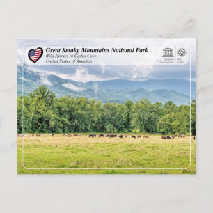 Nationaal park van het Grote Smoky - Cades Cove Briefkaart