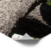 Nationaal park van het meer van Crater - Wizard Is Poster (Hoek)