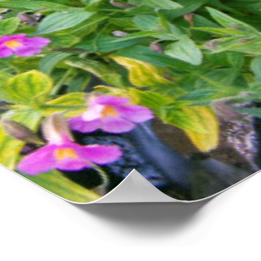 Nationaal park van het meer van het meer van de VS Poster (Hoek)